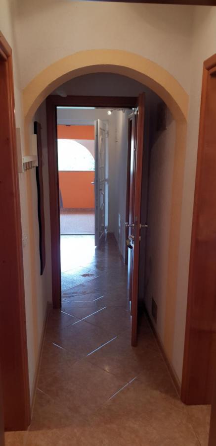 Apartmani Citrus Novigrad Filipac Екстериор снимка