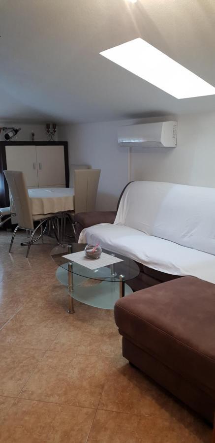 Apartmani Citrus Novigrad Filipac Екстериор снимка