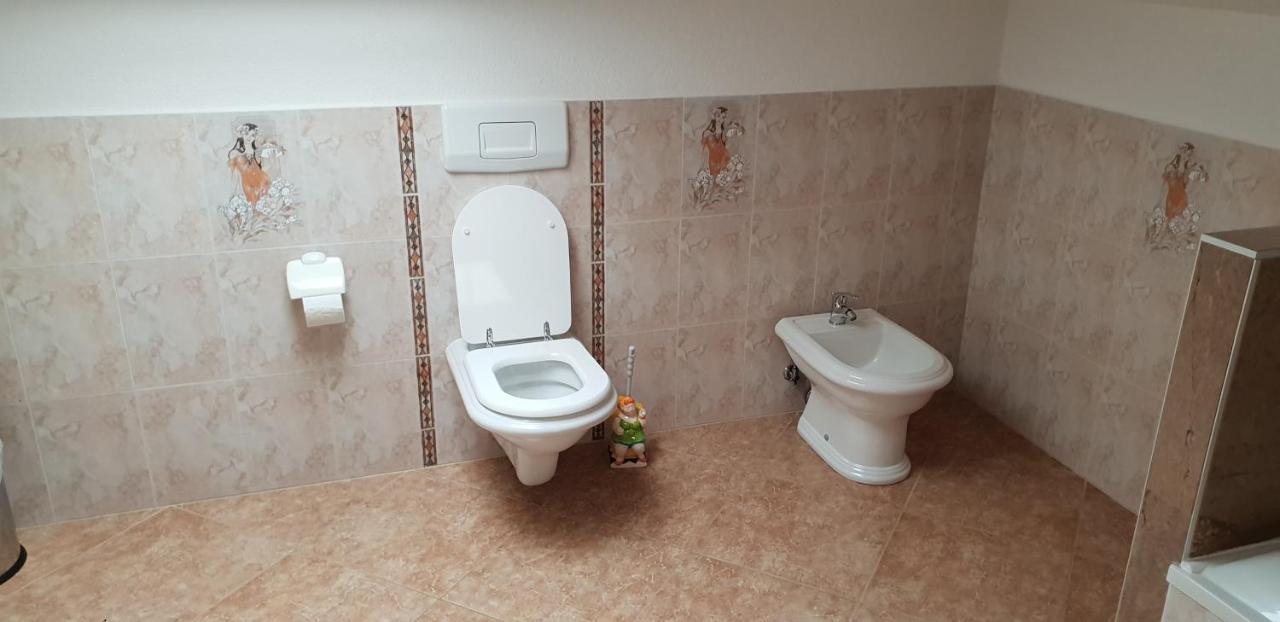 Apartmani Citrus Novigrad Filipac Екстериор снимка