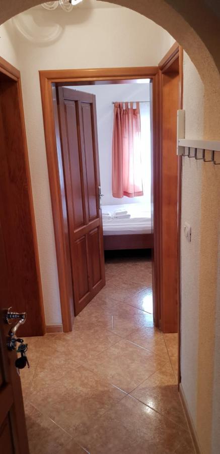 Apartmani Citrus Novigrad Filipac Екстериор снимка