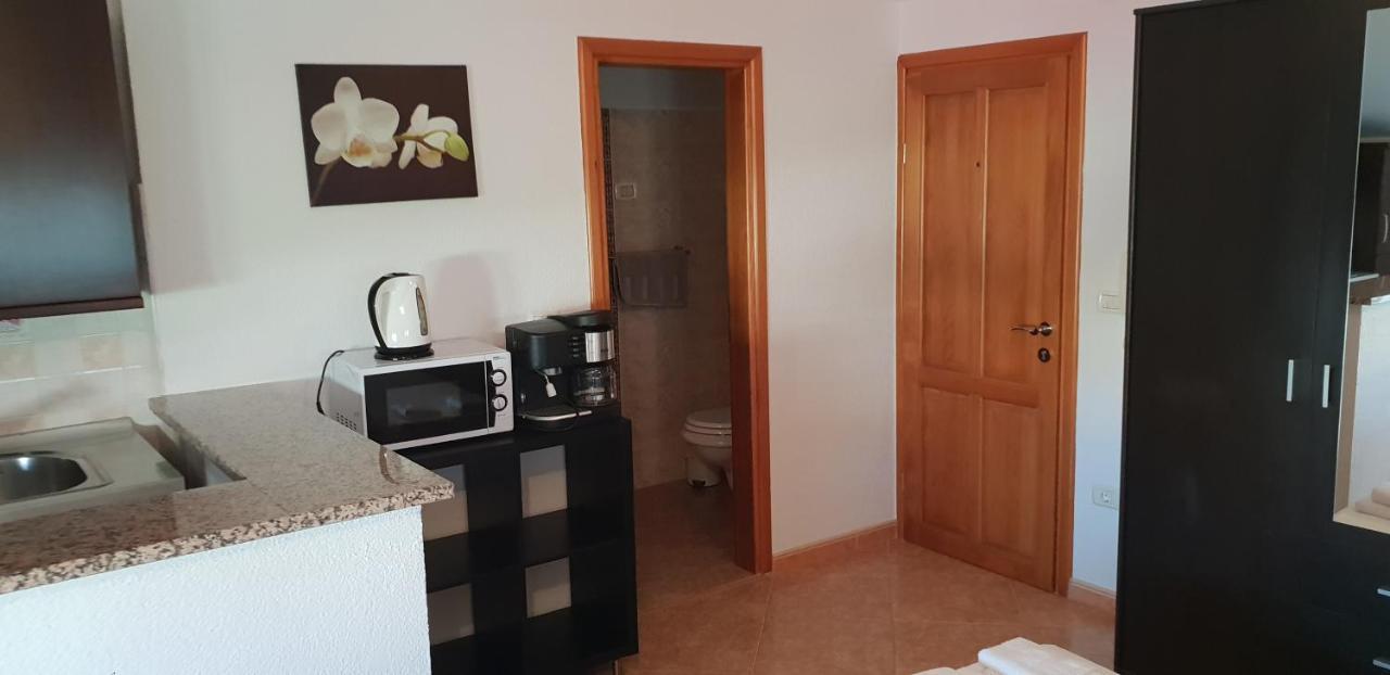 Apartmani Citrus Novigrad Filipac Екстериор снимка