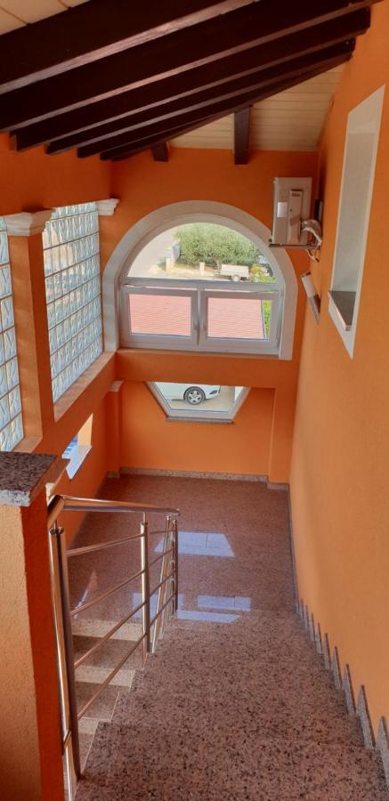 Apartmani Citrus Novigrad Filipac Екстериор снимка