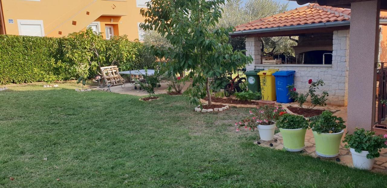 Apartmani Citrus Novigrad Filipac Екстериор снимка