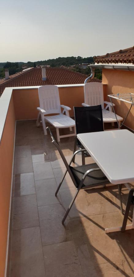 Apartmani Citrus Novigrad Filipac Екстериор снимка
